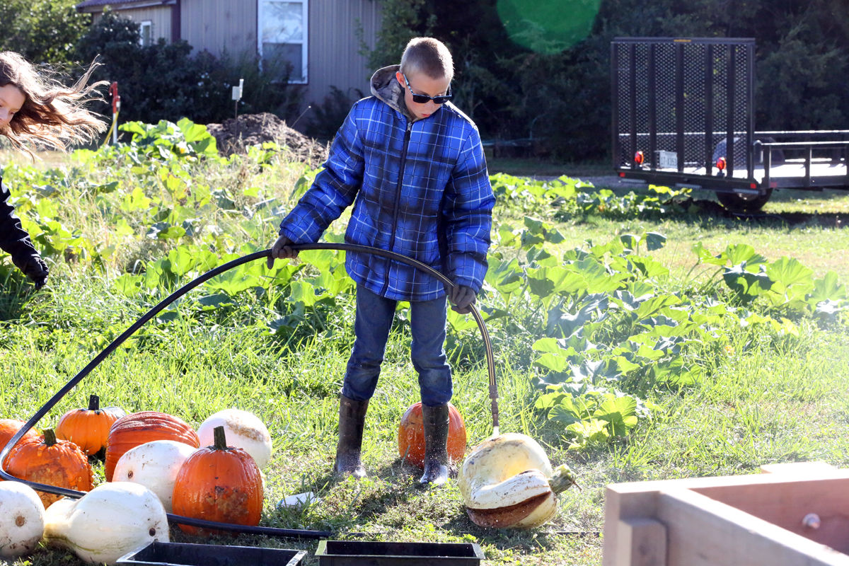 St Joseph Pumpkin Patch (11).jpg